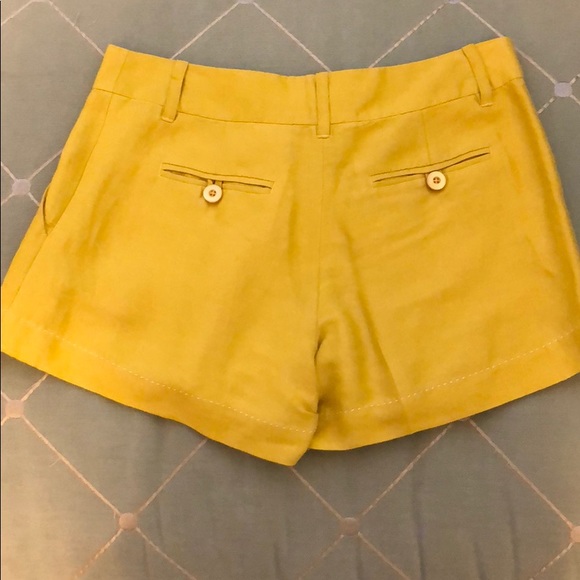 Anthropologie Shorts - Picture 4 of 4
